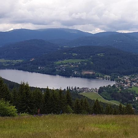 Apartamento Friedolin Im Baerenhuesli Titisee-Neustadt Exterior foto
